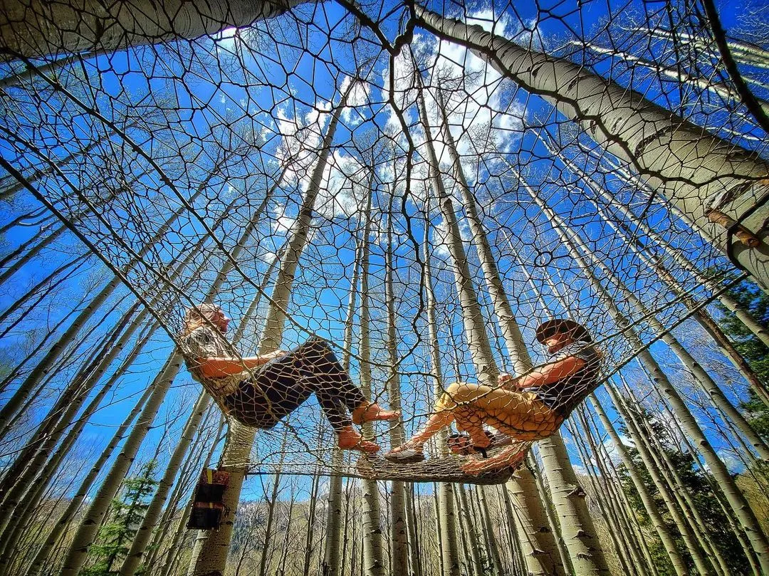 Сетка между деревьями